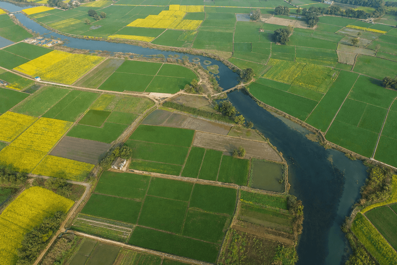 How to Find Land Records by Plot Number in Odisha
